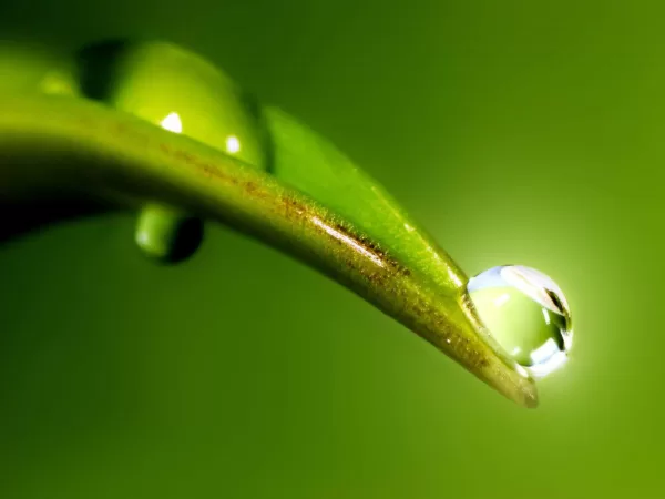 Integrating LCA and CAD for Sustainable Product Design